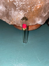Load image into Gallery viewer, Mystery spirit~ bio will be sent out after adoption