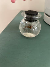 Load image into Gallery viewer, Amazing at manifesting - taxidermy