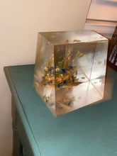 Load image into Gallery viewer, Aaron~Helps with HIGH anxiety