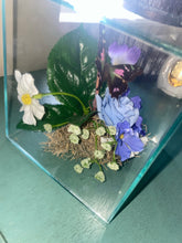 Load image into Gallery viewer, Fanny~Has answers about loved ones