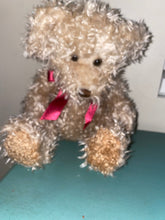 Load image into Gallery viewer, Reserved ~ Azzy~Bert~ great spirit to keep you company ends 2/3