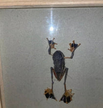 Load image into Gallery viewer, Reserved - K