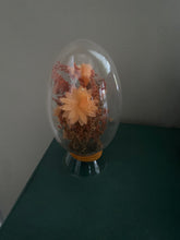 Load image into Gallery viewer, Dedra - will leave her vessel- draws in love