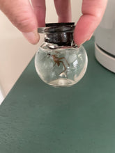 Load image into Gallery viewer, Amazing at manifesting - taxidermy
