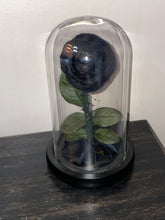 Load image into Gallery viewer, Reserved - E ends 3/10